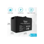 Renogy Lityum Akıllı Akü (100 Ah) - Görsel 2