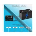 Renogy Solar Şarj Kontrol Göstergesi (20A) - Görsel 2