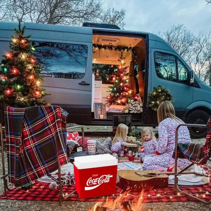 Coca-Cola CCMP24 24 Litre Buzluk - Görsel 2