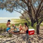 Coca-Cola CCMP24 24 Litre Buzluk - Görsel 4