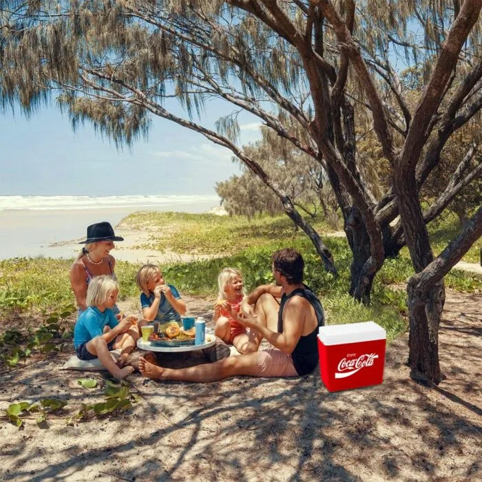 Coca-Cola CCMP24 24 Litre Buzluk - Görsel 4