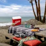 Coca-Cola CCMP24 24 Litre Buzluk - Görsel 6