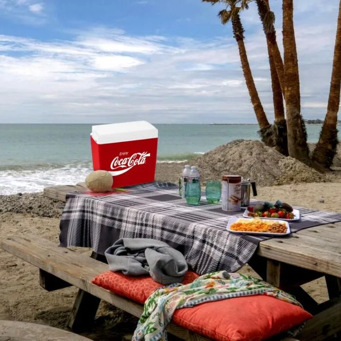 Coca-Cola CCMP24 24 Litre Buzluk - Görsel 6