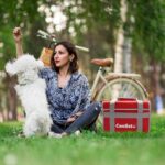 Coolist CL26R 26 Litre Katlanabilir Termos Bez Çanta / Buzluk - Görsel 8