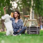 Coolist CL36C 36 Litre Katlanabilir Termos Bez Çanta / Buzluk - Görsel 8