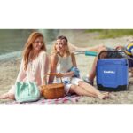 Coolist CLT33 12Volt/220Volt AC/DC 33 Litre Sıcak/Soğuk Oto Buzdolabı - Görsel 6