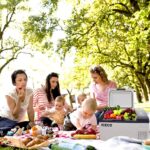 ICECO MCD20S 12/24Volt 20 Litre Kompresörlü Oto Buzdolabı/Dondurucu - Görsel 4