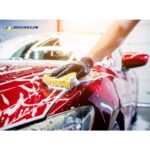 Michelin MC33542 1Litre PRO Serisi pH Nötr Oto Şampuanı - Görsel 2