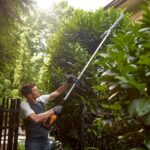 WORX WA0220 WG186E.1 ile Uyumlu 43CM Teleskobik Uzatmalı Açı Ayarlı Çit Budama Başlığı - Görsel 5