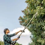 WORX WA0220 WG186E.1 ile Uyumlu 43CM Teleskobik Uzatmalı Açı Ayarlı Çit Budama Başlığı - Görsel 6