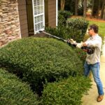 WORX WA0220 WG186E.1 ile Uyumlu 43CM Teleskobik Uzatmalı Açı Ayarlı Çit Budama Başlığı - Görsel 8