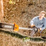 WORX WA0222 WG186E.1 ile Uyumlu 25CM Teleskobik Uzatmalı Zincirli Dal Budama Başlığı - Görsel 5