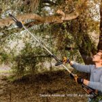 WORX WA0222 WG186E.1 ile Uyumlu 25CM Teleskobik Uzatmalı Zincirli Dal Budama Başlığı - Görsel 6