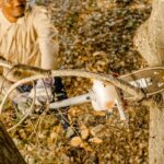 WORX WA0222 WG186E.1 ile Uyumlu 25CM Teleskobik Uzatmalı Zincirli Dal Budama Başlığı - Görsel 8