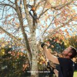 WORX WA4301 WG324E İçin 125CM Alüminyum Uzatma Aparatı - Görsel 9