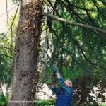 WORX WA4301 WG324E İçin 125CM Alüminyum Uzatma Aparatı - Görsel 10