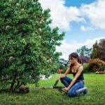 WORX WG163E.2 20Volt 2.0Ah. Li-ion 30cm Profesyonel Teleskobik Misinalı Çim ve Kenar Kesme - Görsel 5