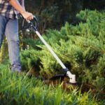 WORX WG186E.1 40Volt 4.0Ah. Li-ion 38cm Profesyonel Çok Fonksiyonlu Misinalı Çim Kesme + Tırpan - Görsel 3