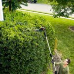 WORX WG252E 20Volt 2.0Ah Li-ion Tek Akülü 45CM Profesyonel Teleskobik Saplı Açı Ayarlı Çit Budama - Görsel 6