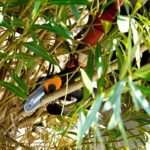 WORX WG324E 20Volt 2.0Ah Li-ion 12CM Profesyonel Şarjlı Zincirli Testere - Görsel 8