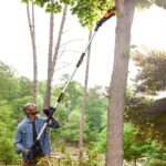 WORX WG349E 20Volt 2.0Ah Li-ion Tek Akülü 20CM Profesyonel Teleskobik Saplı Açı Ayarlı Zincirli Dal Budama - Görsel 3