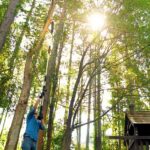 WORX WG349E 20Volt 2.0Ah Li-ion Tek Akülü 20CM Profesyonel Teleskobik Saplı Açı Ayarlı Zincirli Dal Budama - Görsel 5