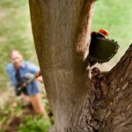 WORX WG349E 20Volt 2.0Ah Li-ion Tek Akülü 20CM Profesyonel Teleskobik Saplı Açı Ayarlı Zincirli Dal Budama - Görsel 6