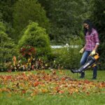 WORX WG505E 3000Watt Profesyonel Elektrikli Yaprak Toplama ve Üfleme - Görsel 5