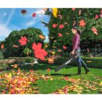 WORX WG547E 20Volt 2.0Ah. Li-ion Profesyonel Devir Ayarlı Yaprak Üfleme - Görsel 9