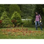 WORX WG583E 40Volt 4.0Ah. Li-ion Kömürsüz Profesyonel Yaprak Toplama ve Üfleme - Görsel 6