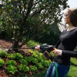 WORX WG630E 20Volt 4.0Ah. Li-ion 25Bar Kömürsüz Basınçlı Yıkama Tabancası + 2 Parça Yıkama Seti - Görsel 10