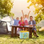 Coolist CLB30LM 30 Litre Limon Desenli Buzluk + 3 Adet 400gr. Buz Kaseti - Görsel 8