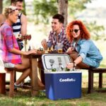 Coolist CLT26 12Volt/220Volt AC/DC 26 Litre Sıcak/Soğuk Oto Buzdolabı - Görsel 4