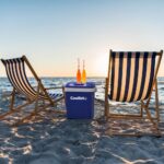 Coolist CLT26 12Volt/220Volt AC/DC 26 Litre Sıcak/Soğuk Oto Buzdolabı - Görsel 7