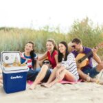 Coolist CLT26 12Volt/220Volt AC/DC 26 Litre Sıcak/Soğuk Oto Buzdolabı - Görsel 10