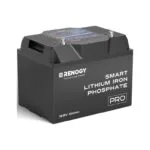 Renogy Lityum Akıllı Akü Pro (100 Ah)