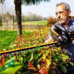 WORX WG263E 20Volt 4.0Ah. Li-ion Tek Akülü 57CM Profesyonel Çit Budama - Görsel 5