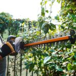 WORX WG263E 20Volt 4.0Ah. Li-ion Tek Akülü 57CM Profesyonel Çit Budama - Görsel 9