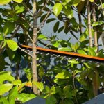 WORX WG263E 20Volt 4.0Ah. Li-ion Tek Akülü 57CM Profesyonel Çit Budama - Görsel 10