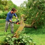 WORX WG384E 40Volt 2.0Ah Li-ion 35CM Profesyonel Şarjlı Kömürsüz Zincirli Testere - Görsel 5