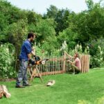 WORX WG384E 40Volt 2.0Ah Li-ion 35CM Profesyonel Şarjlı Kömürsüz Zincirli Testere - Görsel 7