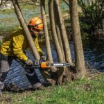 WORX WG384E 40Volt 2.0Ah Li-ion 35CM Profesyonel Şarjlı Kömürsüz Zincirli Testere - Görsel 9