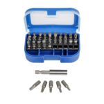 WORKPRO WP200513 31 Parça CR-V Vidalama Bits Uç Seti - Görsel 2