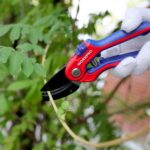 WORKPRO WP332010 Profesyonel Bağ Bahçe Dal Budama Makası - Görsel 6