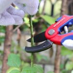 WORKPRO WP332010 Profesyonel Bağ Bahçe Dal Budama Makası - Görsel 7