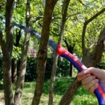 WORKPRO WP333003 250mm Katlanabilir Profesyonel Ağaç Budama Testeresi - Görsel 6