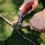 WORKPRO WP382005 4 IN 1 Çok Fonksiyonlu Bağ Bahçe Dal Budama Makası - Görsel 6