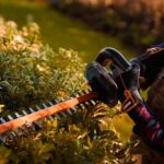 WORX WG264E 20Volt 2.0Ah 56CM Profesyonel Çit Budama - Görsel 5