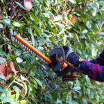 WORX WG264E 20Volt 2.0Ah 56CM Profesyonel Çit Budama - Görsel 6