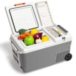 Worx WX876.9 12/24/220Volt 22Litre Kompresörlü Outdoor Oto Buzdolabı (Akü Dahil Değildir) - Görsel 2